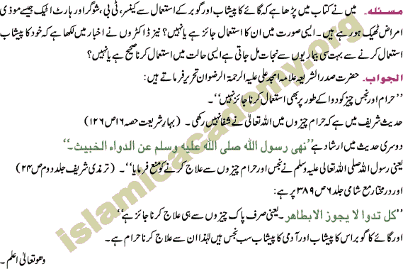 To cure with Urine and Feces Fatwa